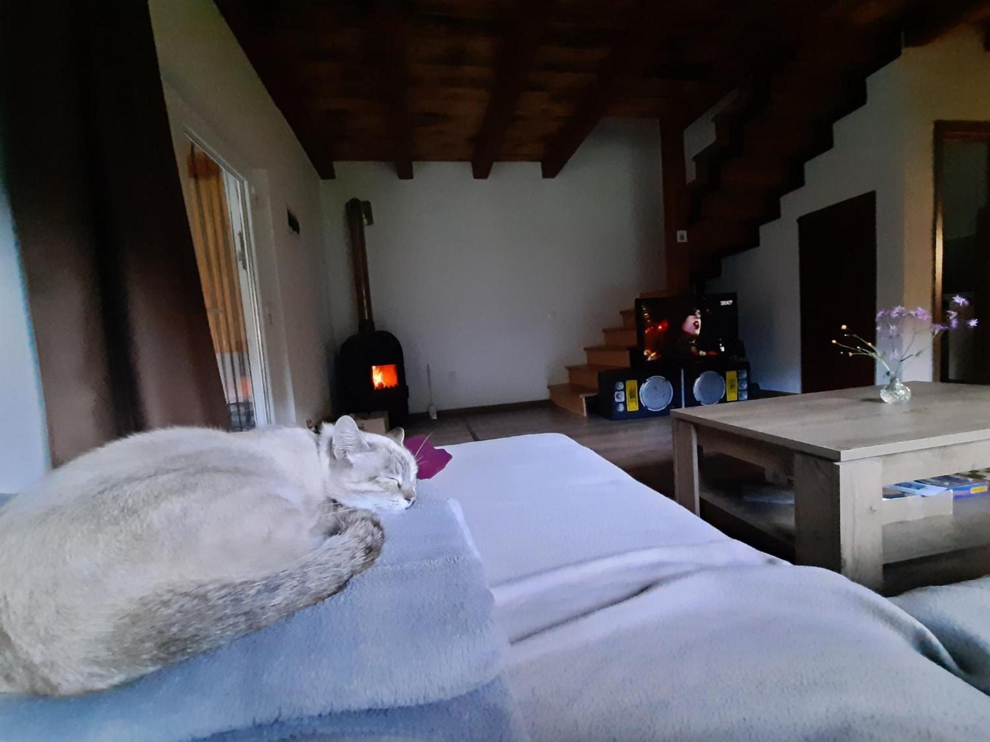 Mountain Cozy Home Sub Cetate Экстерьер фото