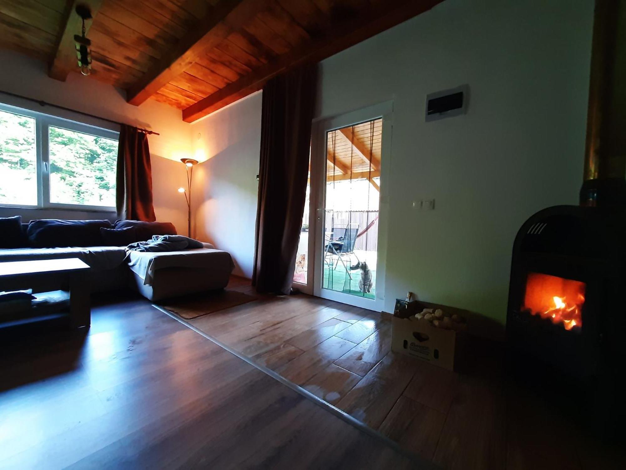 Mountain Cozy Home Sub Cetate Экстерьер фото